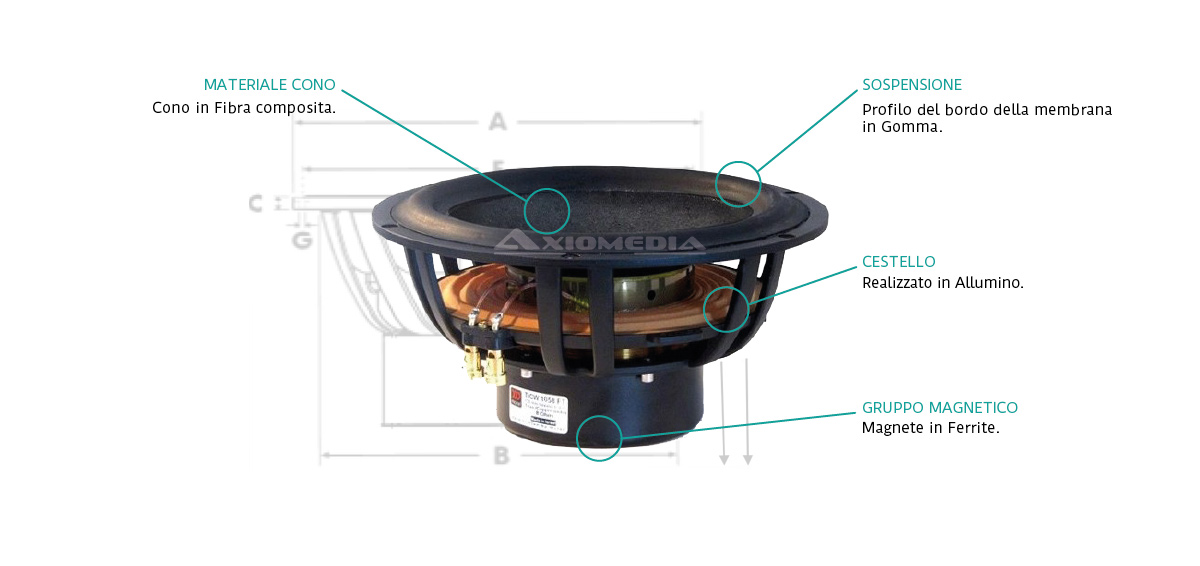 TICW 1258FT - Morel 12